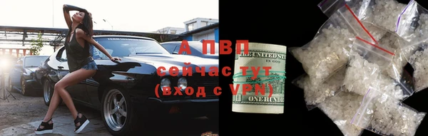 ГАЛЛЮЦИНОГЕННЫЕ ГРИБЫ Богородск