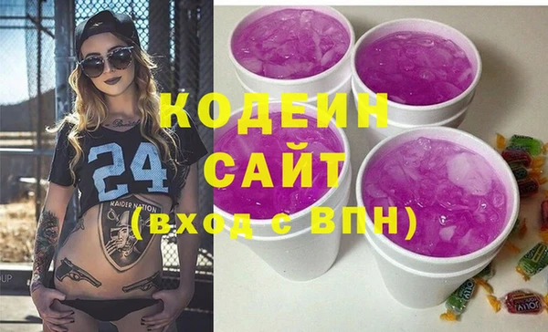 хмурый Бородино