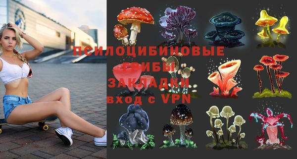 марки lsd Богданович