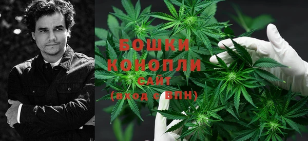 гидропоника Богородицк
