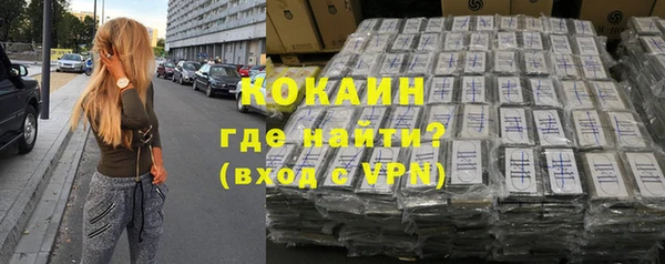 хмурый Бородино
